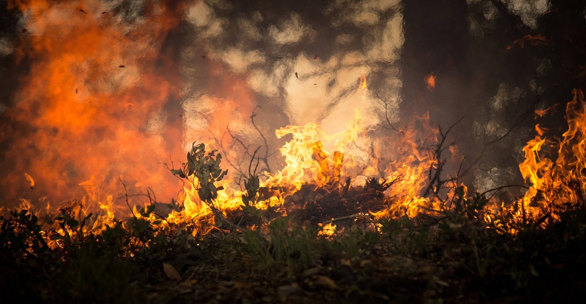 Incendies de forêts à cause de la foudre