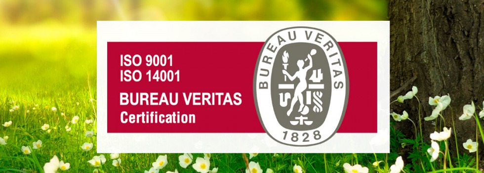 certificación ISO14.001:2015 pararrayos