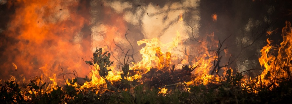 Incendios forestales causados por rayos